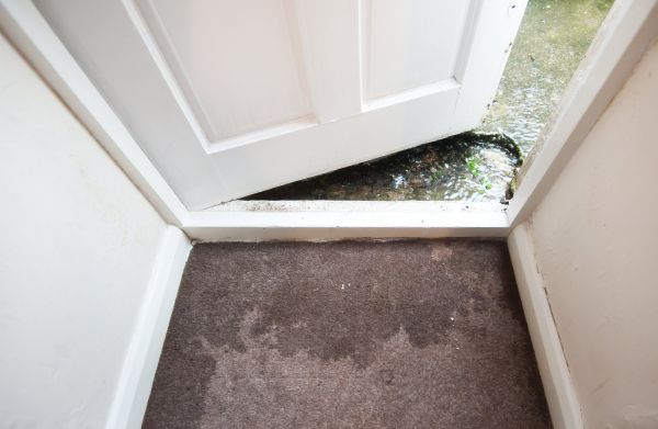 Wet Carpet Restoration in Lewes